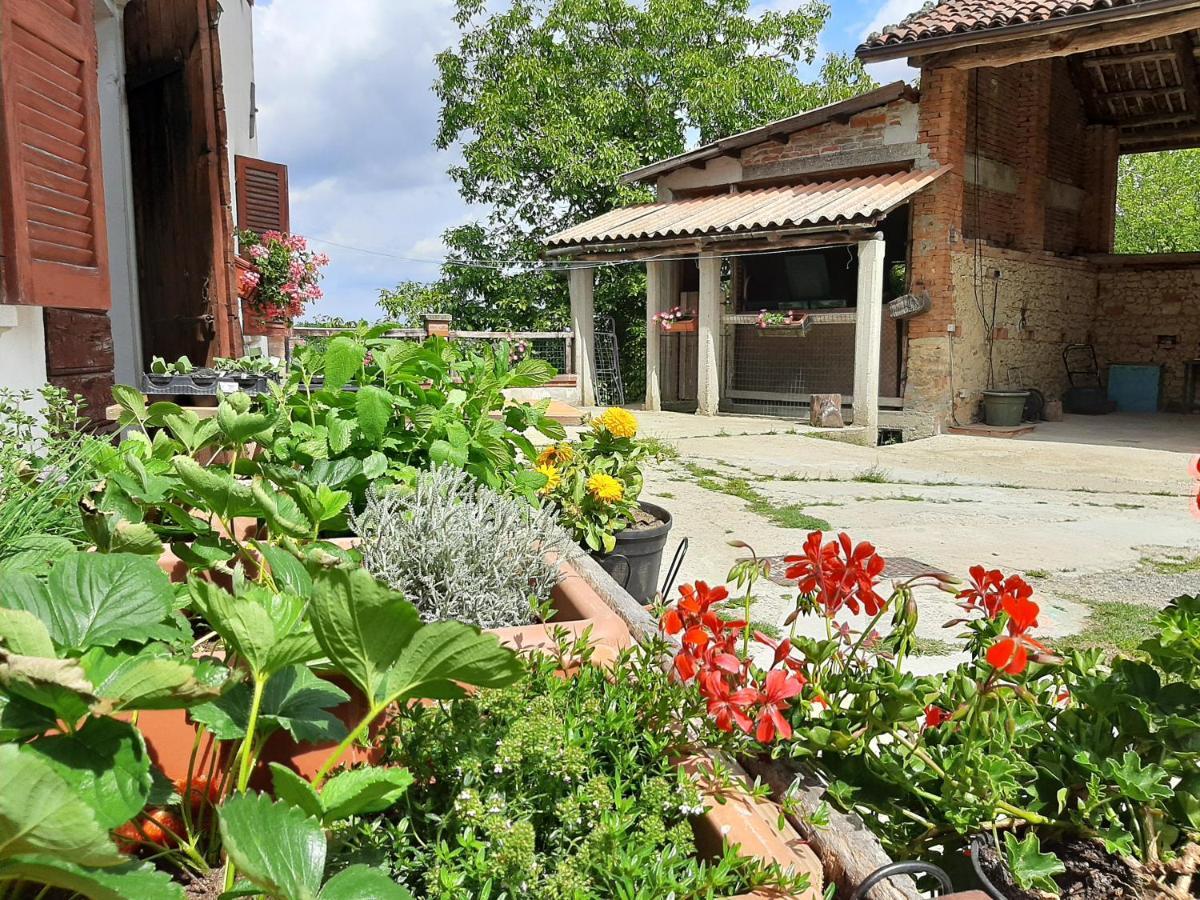 Cascina Teresina Monferrato Piscina Villa Cortazzone Eksteriør billede