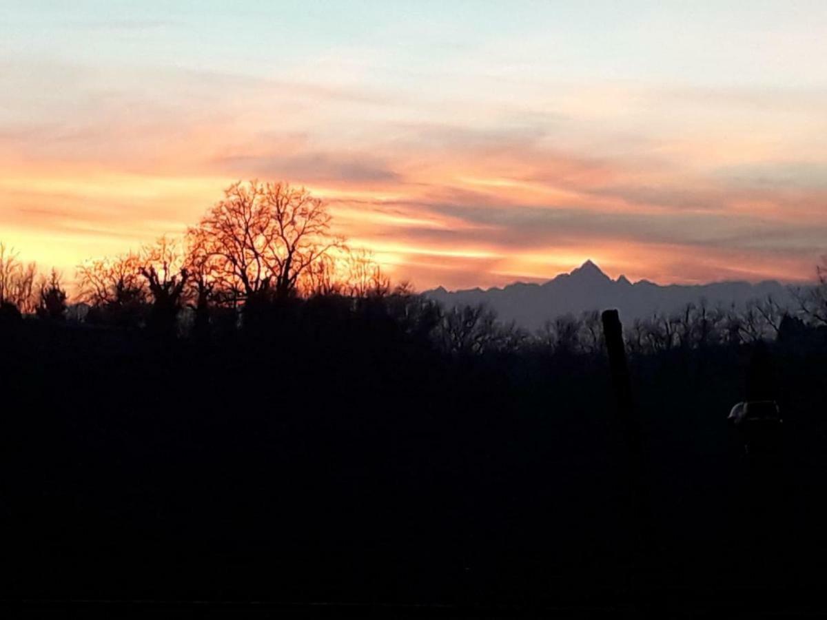 Cascina Teresina Monferrato Piscina Villa Cortazzone Eksteriør billede